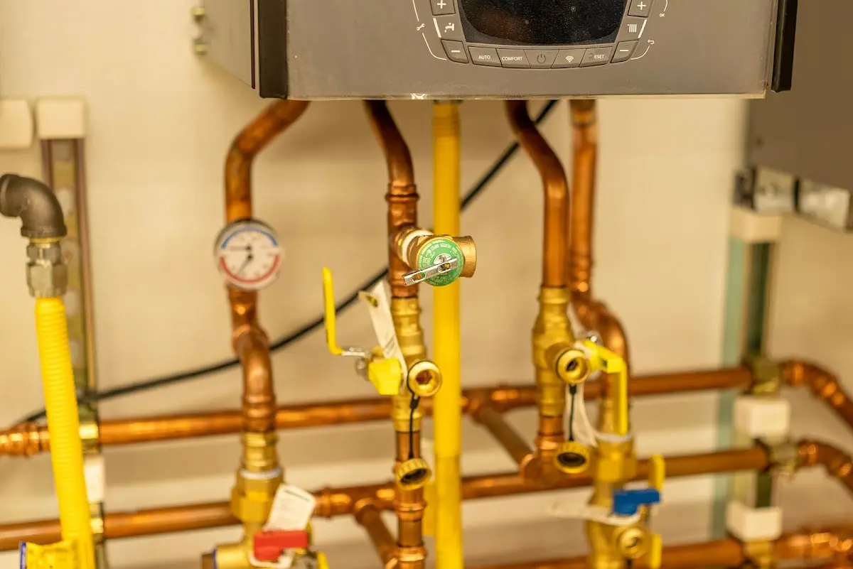 Licensed technician providing Emergency Plumbing for a homeowner in Tilden